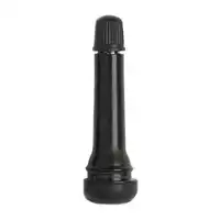 Valve TR418